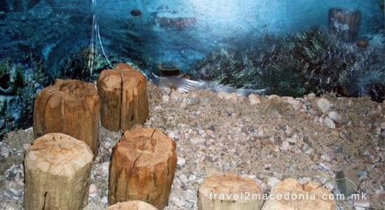 Museum on water -  Bay of Bones