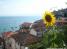 Grebnos Stone House - Ohrid